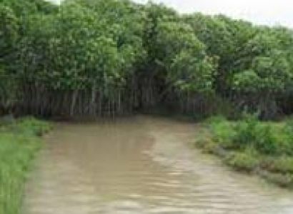 Ethnic Tour Of Chhattisgarh & Orissa With Culture