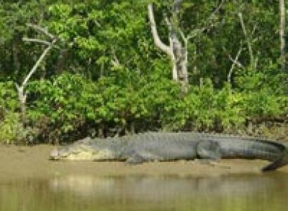 Best of Odisha (Odisha) Tour