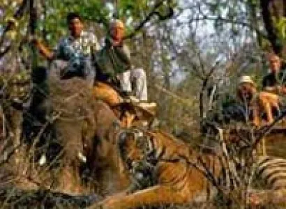 Best of Madhya Pradesh Tour