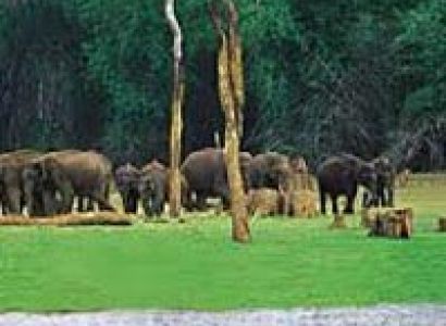 Wildlife Tour of Chhattisgarh.