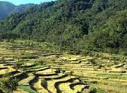 Assam Nagaland Tour