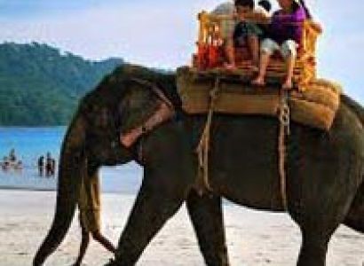 Havelock Island – Elephant Beach Tour