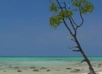 Exotic Honeymoon Beaches Tour