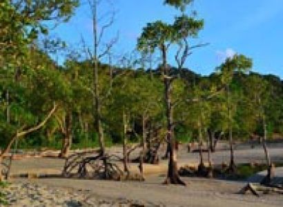 Group Andaman Island Tour
