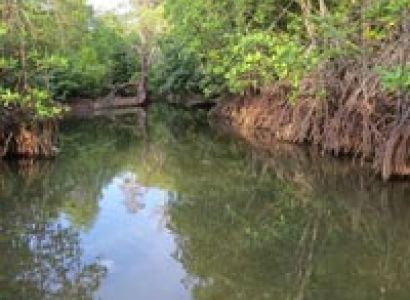 Andaman Group Tour