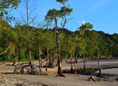 Exotic Group Beaches Tour