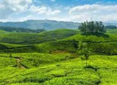3 Days Wayanad Tour with Vythiri Tree house