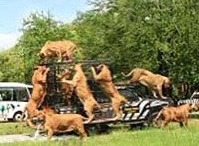 Simply Thailand Tour