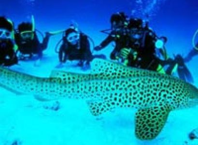 Splendours of Andaman Tour