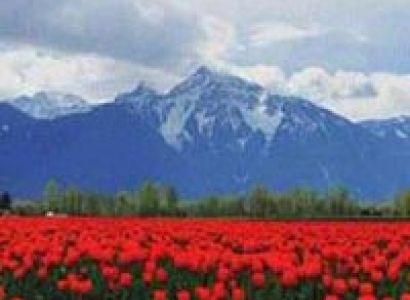 Amazing Kashmir 7N/8D Tour