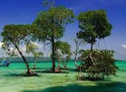 Andaman Tour  8 Days 7 Nights