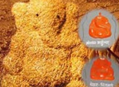 Ashtavinayak Darshan Pune Tour