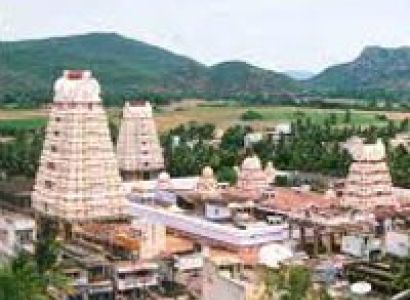 Tamil Nadu Temple Tour