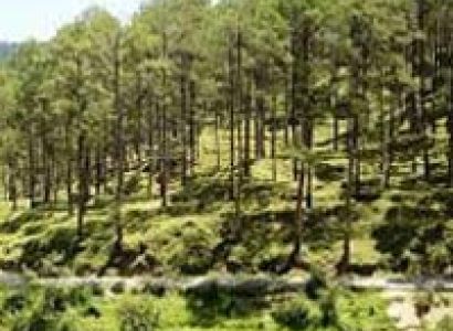 Exotic Uttarakhand Tour