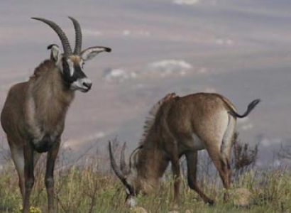 13 Days /12 Nights Malawi Tour