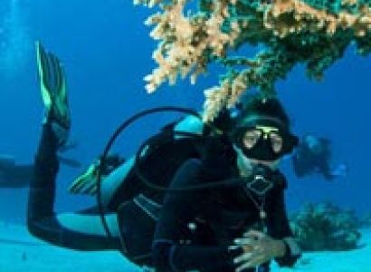 Lazy Days Dreams Tour