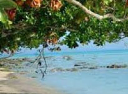 The Great Escape Tour