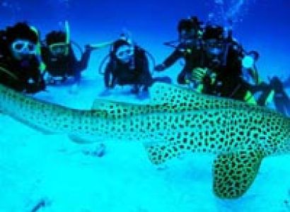 A Glimpse of Andamans Tour