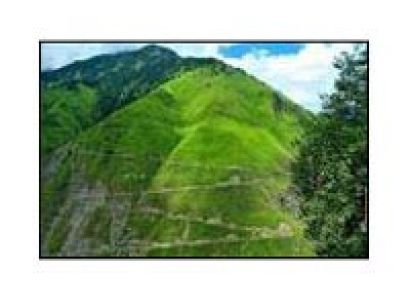 Jalsu Pass Trek Tour