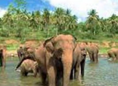 Lovely Sri Lanka Tour