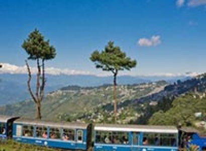 Sweet Darjeeling Tour