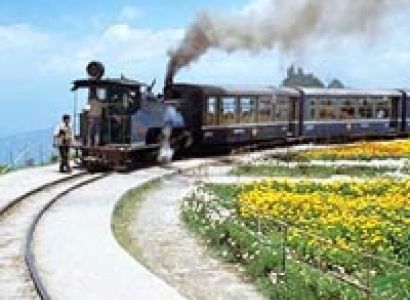 Sweet Queen of Hills Darjeeling Tour