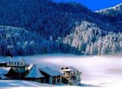 Himachal Highlight with Kasauli Tour