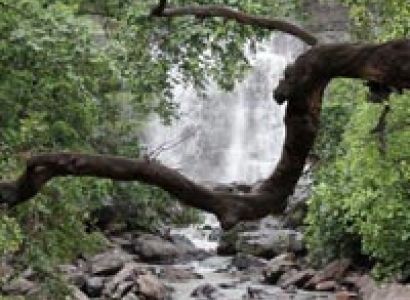 Maharashtra Wildlife Tour