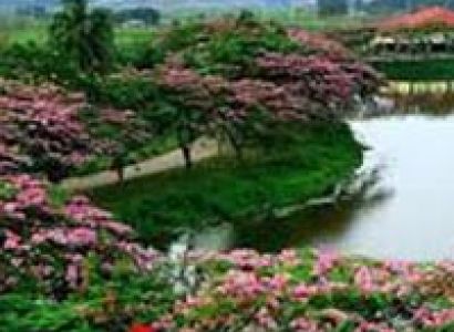 Assam Meghalaya Tour