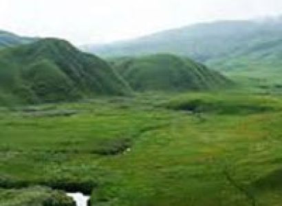 Trekking To Dzukou Valley Tour