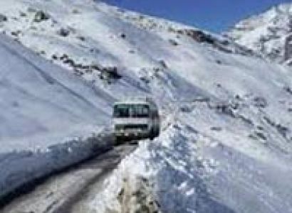 Shimla and Manali Tour