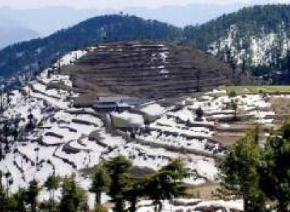 Scenic Shimla Tour