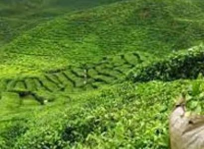 Delightful North East with Pelling Tour