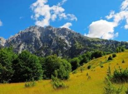 Albanian Culinary Delights Package