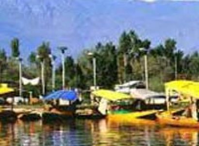 Trout Fishing In Kashmir Tour