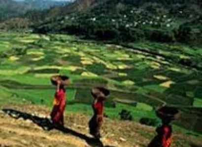 Corbett Wildlife Safari Tour