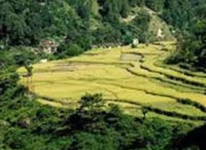 Munsiyari Pittorgarh Tour from Delhi