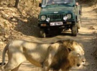 Seven Wonders of Gujarat - ( 7Night / 8Days ) Tour