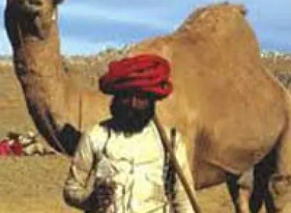 Royal Rajasthan With City Of Lakes 3N/4D Tour