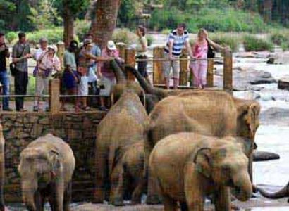 Amazing Sri Lanka TOUR