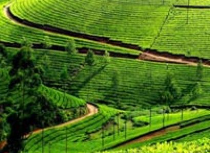 Mysore Ooty Kodaikanal Tour