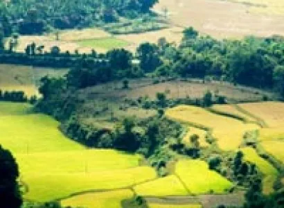 Delightful Coorg with Kabini Tour