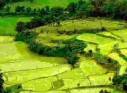 Coolest Karnataka Tour