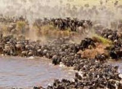 Lake Manyara National Park & Ngorongoro crater & Serengeti National Park