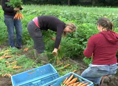Farm & Cook Tour At Song Phuong Village Tour