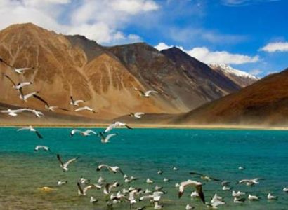 Jewels of Ladakh Tour