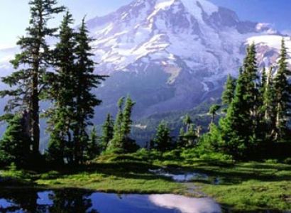 Blissful Sikkim with Darjeeling Tour