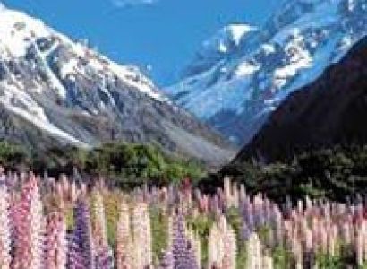 Australia With New Zealand - 14Nights/15Days