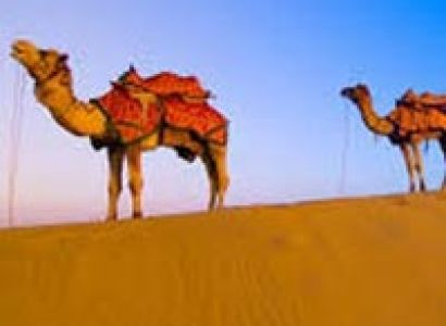 Rajasthan Tour