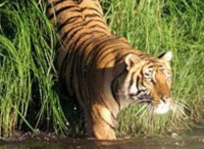 Sundarban Tour Package